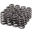 Valve Spring Set 1.307 Dia. Dual Spring