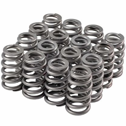 Valve Spring Set Beehive 1.023/1.250
