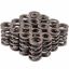 Valve Spring Set 1.364 Dia. Dual Spring
