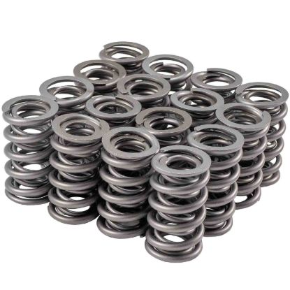Valve Spring Set GM LS 1.304 Dual
