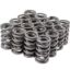 Valve Spring Set GM LS 1.304 Dual