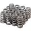 Valve Spring Set GM LS 1.307/1.072 Beehive
