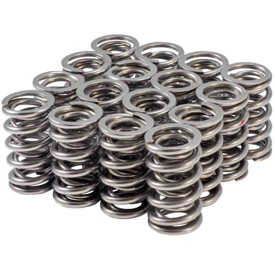1.305 Valve Spring Set Dual  LS .660 Lift