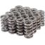 1.305 Valve Spring Set Dual  LS .660 Lift