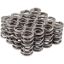 Valve Spring Set GM LS 1.295 Dual