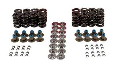 Valve Spring Kit GM LS W/Ti Retainers