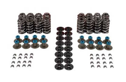 Valve Spring Kit GM LS