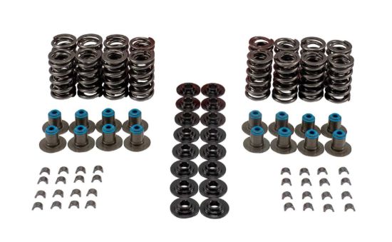 Valve Spring Kit GM LS