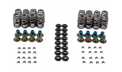 Valve Spring Kit GM LS
