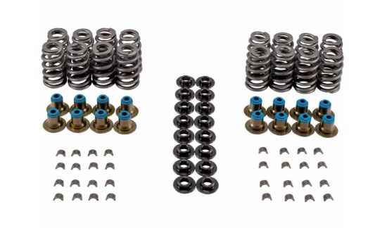 Valve Spring Kit GM LS