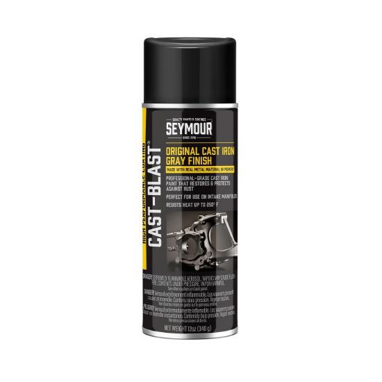 Cast Blast Paint Spray Can 12oz