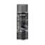 Stainless Blast Paint Spray Can 13oz