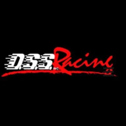 Picture for manufacturer DSS RACING