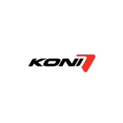 Picture for manufacturer KONI SHOCKS