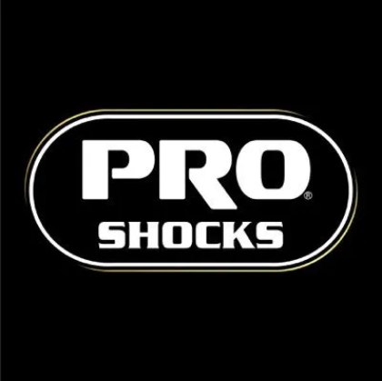 Picture for manufacturer PRO SHOCK