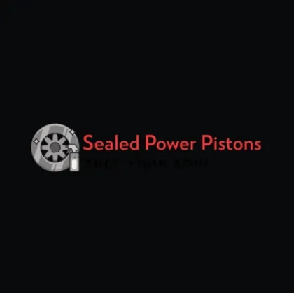 Picture for manufacturer SEALED POWER