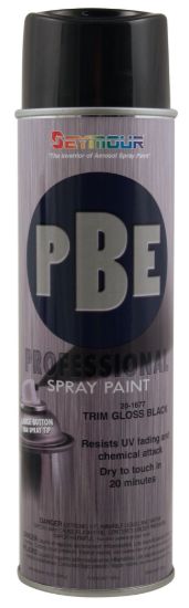 Picture of Seymour                                                      Paint - 20-1677