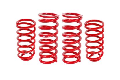 79-04 Mustang Lowering Spring Kit 1in Drop