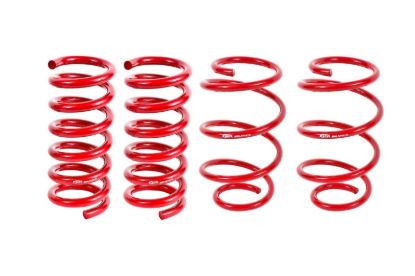 15-26 Mustang Lowering Springs Kit Performance