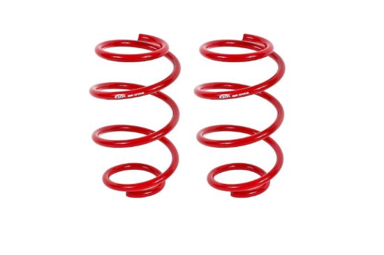 15-26 Mustang Lowering Springs Front Perf.