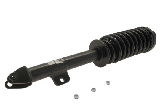 Dodge Car RWD Front Right Strut W/ Spring