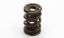 1.677 Triple Valve Springs