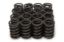 1.550 Pro Valve Springs Dual w/Damper