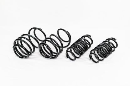 Spring Kit  Spec-R Honda Honda Sport/Si 17-20