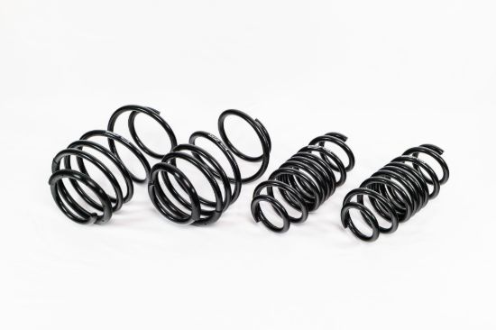 Spring Kit  Spec-R Honda Honda Sport/Si 17-20