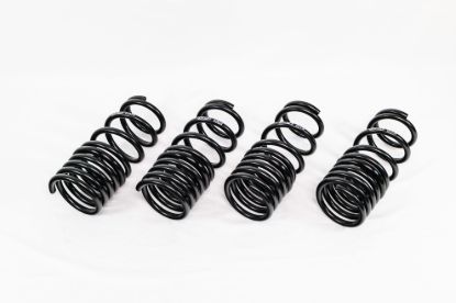 Spring Kit  Spec-R Honda S2000 AP1/AP2