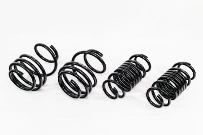 Spring Kit  Spec-R Honda Honda Type-R 17-22