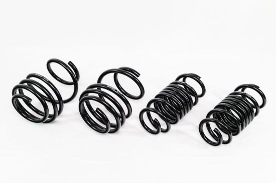 Spring Kit  Spec-R Honda Honda Type-R 17-22