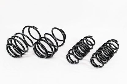 Spring Kit  Spec-R Acura Integra A-Spec 22-Up