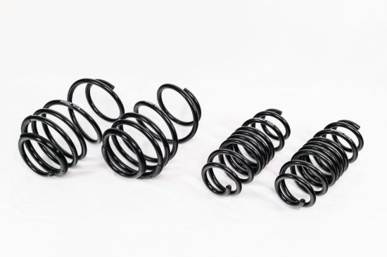 Spring Kit  Spec-R Acura Integra A-Spec 22-Up