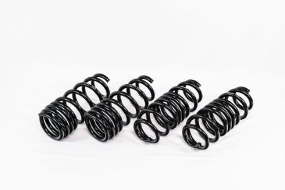 Spring Kit  Spec-R Acura TLX Type S 21-Up