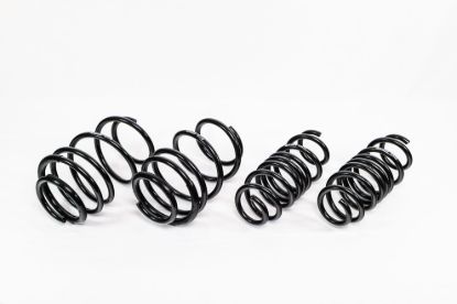 Spring Kit  Spec-R Honda Honda Si 22-Up