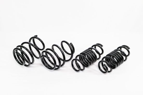 Spring Kit Spec-R Honda Civic Type-R 23-Up