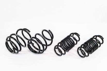 Spring Kit  Spec-R Acura Integra Type-S 23-Up