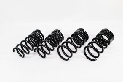 Spring Kit Spec-R Nissan Z RZ34 23-up