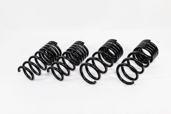 Spring Kit Spec-R Nissan Z RZ34 23-up