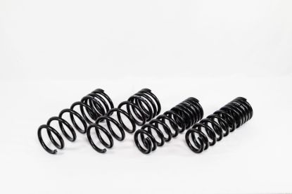Spring Kit Spec-R Lexus IS500 22-Up