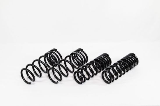 Spring Kit Spec-R Lexus IS500 22-Up