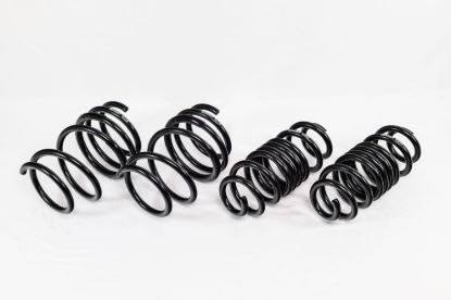Spring Kit Spec-R Toyota GR Gorolla 23-Up
