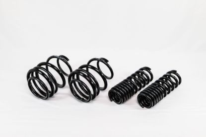 Spring Kit Spec-R BMW M4 F82 15-20