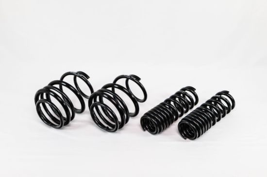 Spring Kit Spec-R BMW M4 F82 15-20
