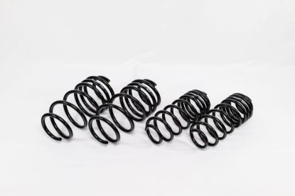 Spring Kit Spec-R Ford Fiesta ST 14-19