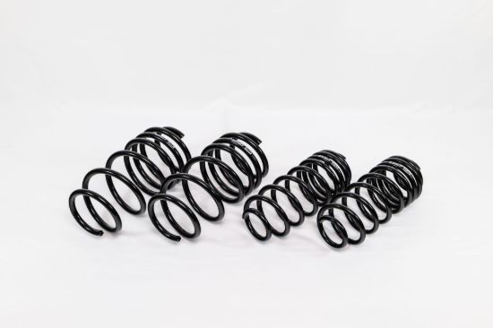 Spring Kit Spec-R Ford Fiesta ST 14-19